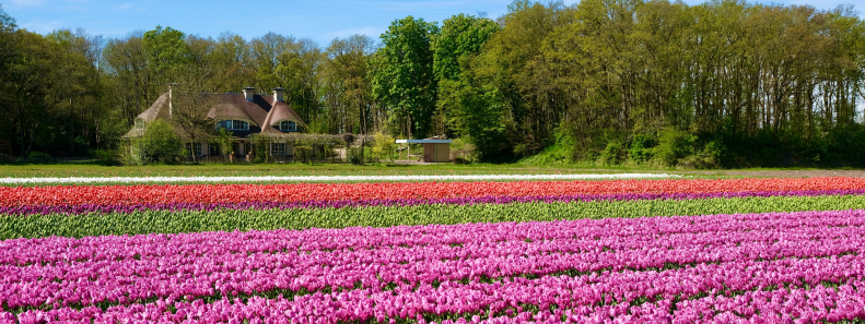 Verhuisbedrijf Bennebroek