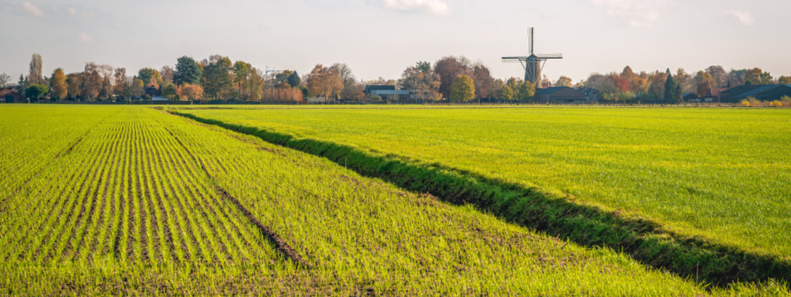 Verhuisbedrijf Dongen